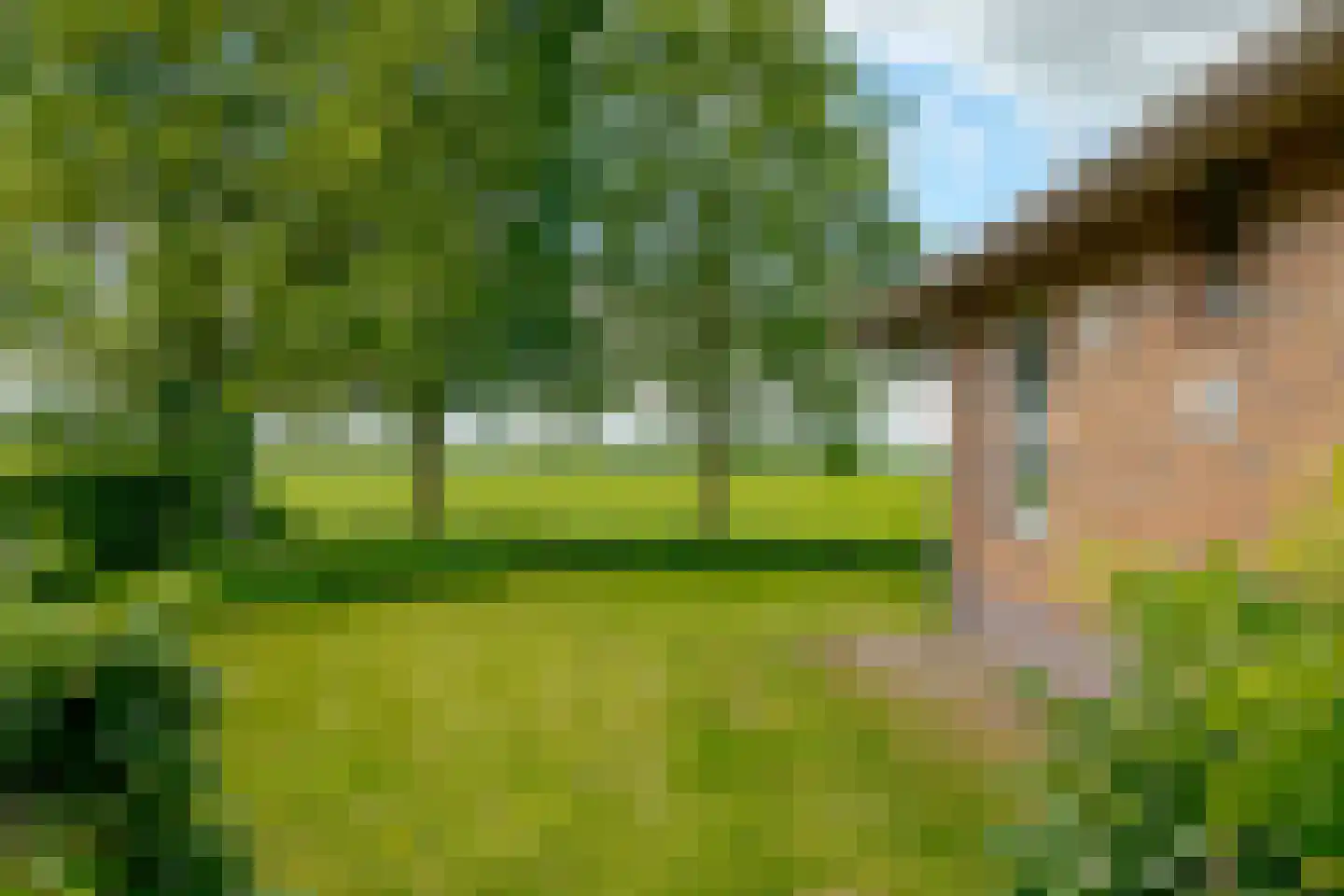 Wechterholt 39 Wijhe thumbnail 75