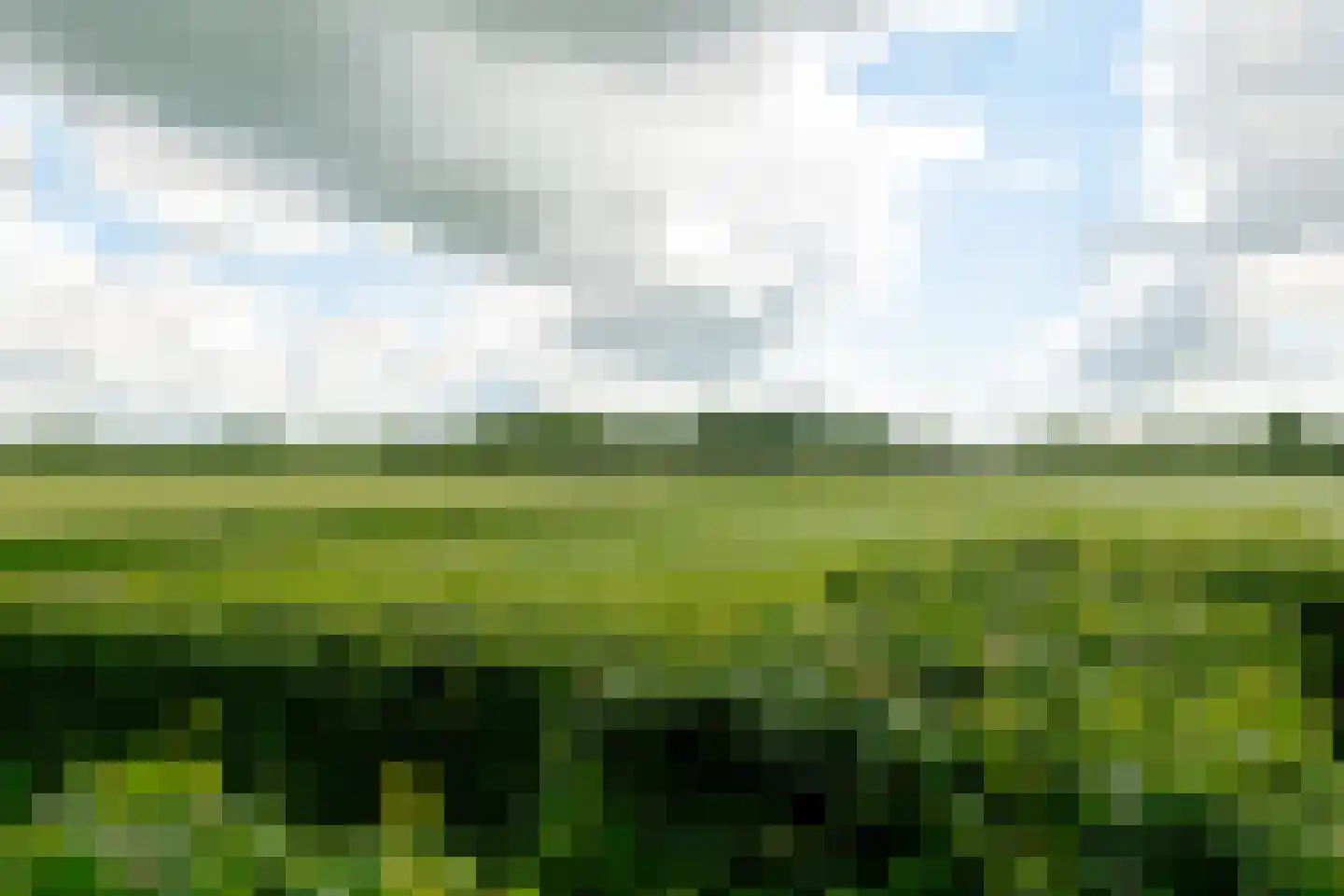 Wechterholt 39 Wijhe thumbnail 77