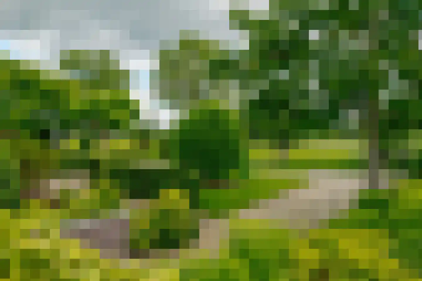 Wechterholt 39 Wijhe thumbnail 78
