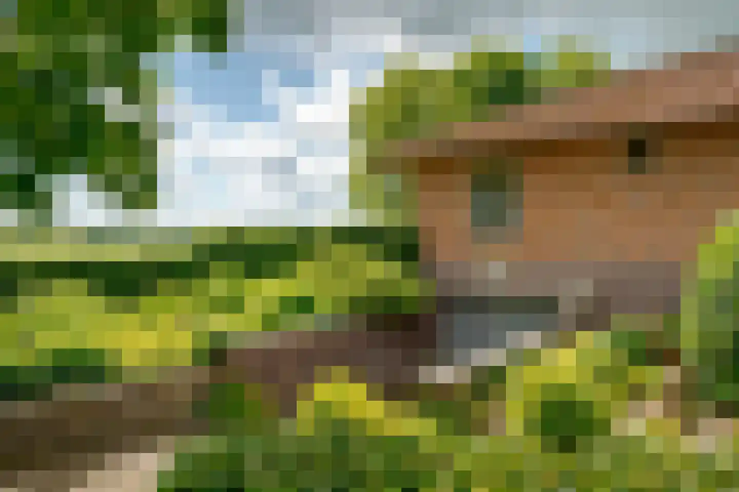 Wechterholt 39 Wijhe thumbnail 79