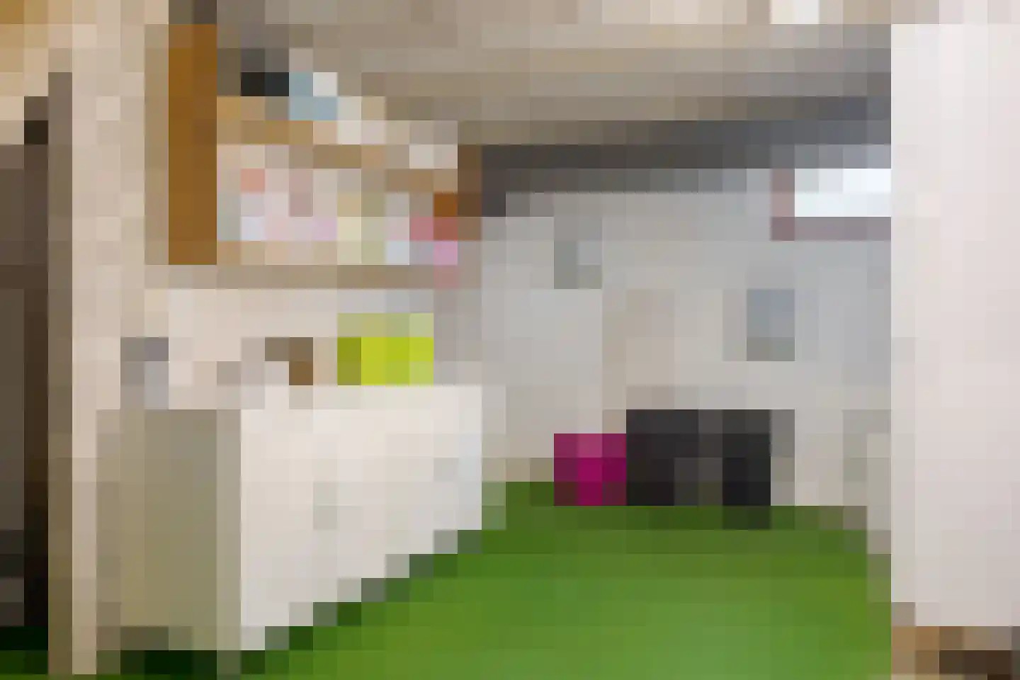 Wechterholt 39 Wijhe thumbnail 84