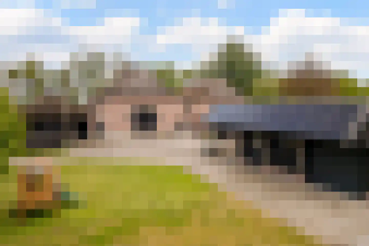 Wechterholt 4 a in Wijhe