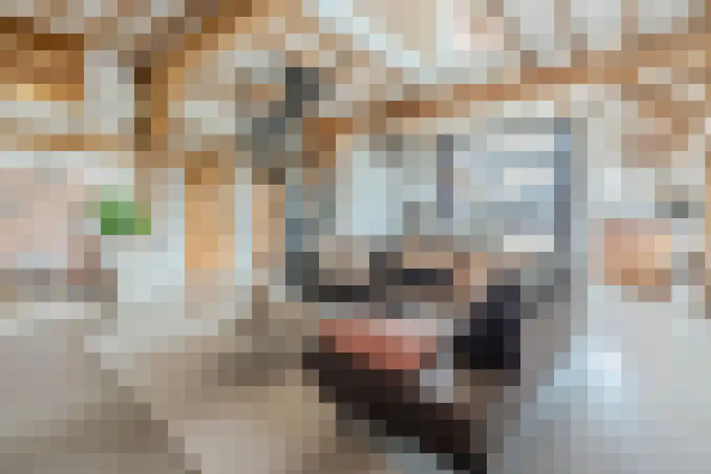 Wechterholt 4 a Wijhe thumbnail 10