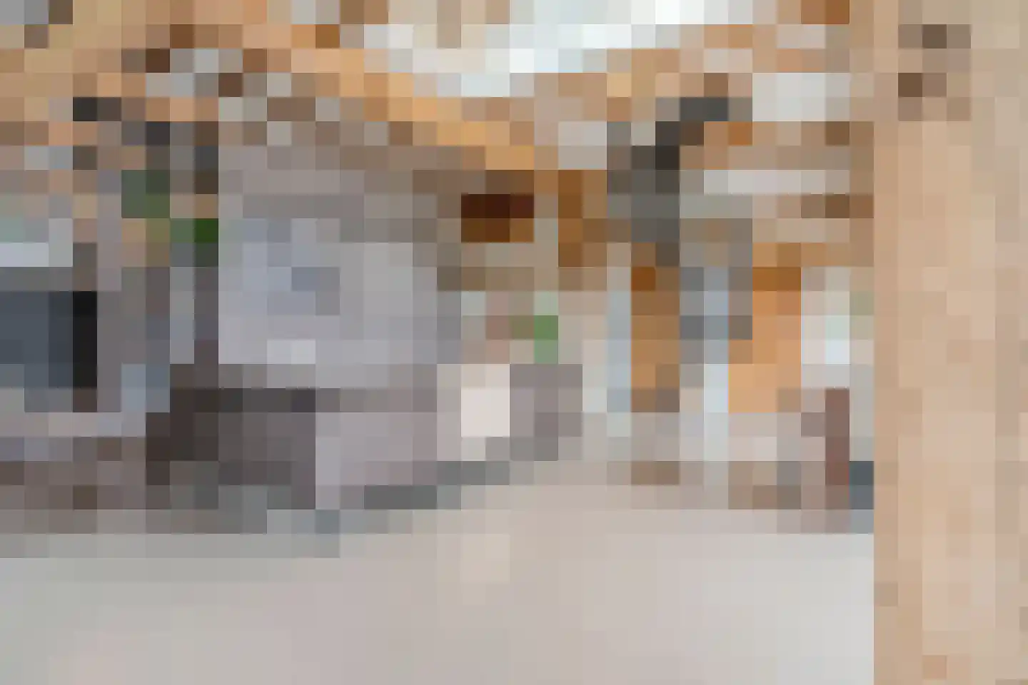 Wechterholt 4 a Wijhe thumbnail 11