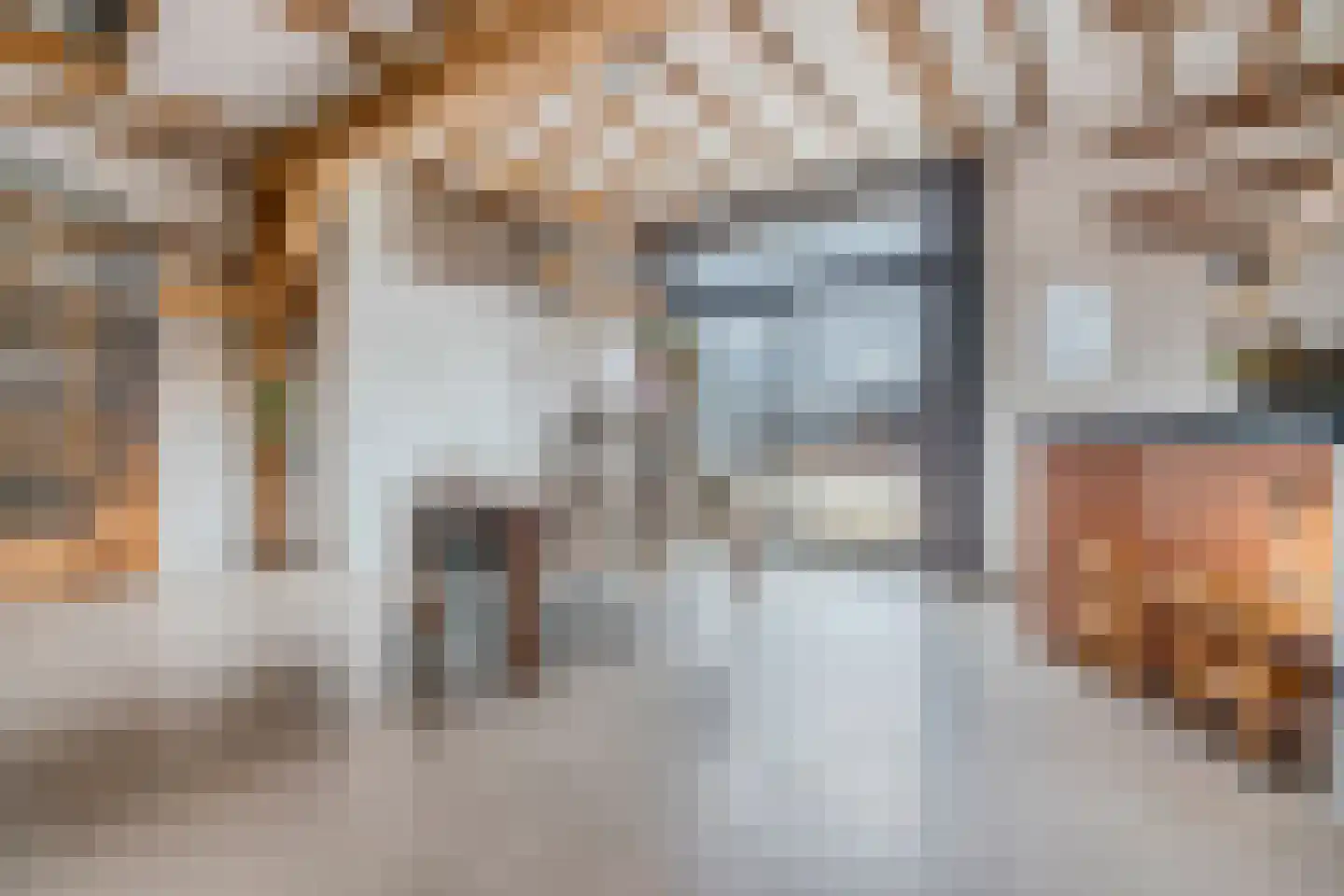 Wechterholt 4 a Wijhe thumbnail 13
