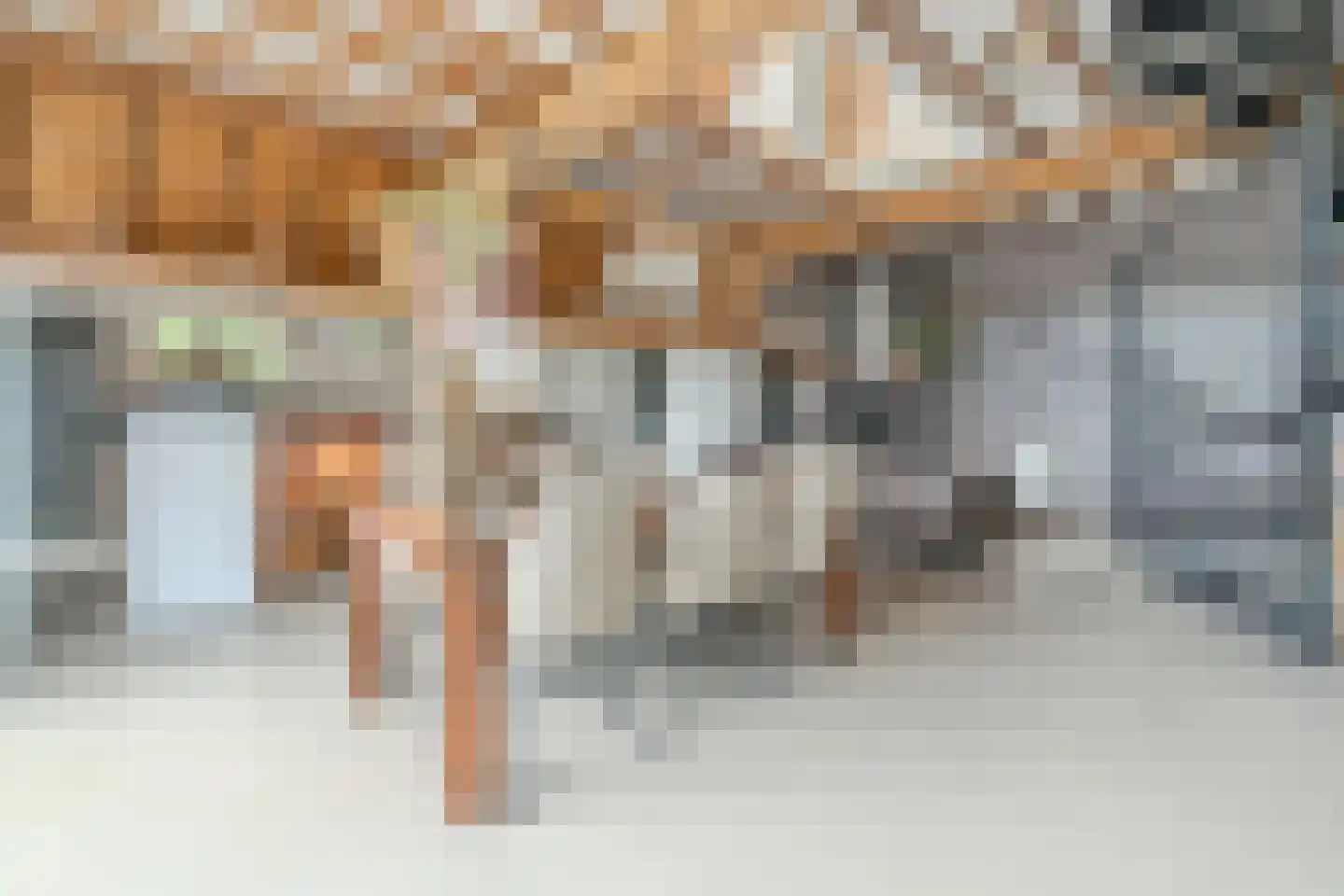 Wechterholt 4 a Wijhe thumbnail 14