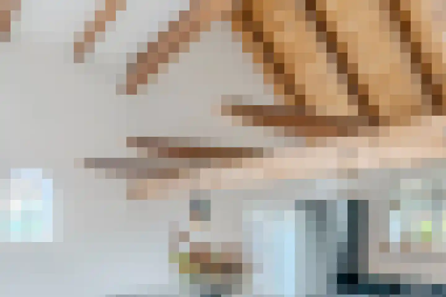 Wechterholt 4 a Wijhe thumbnail 22