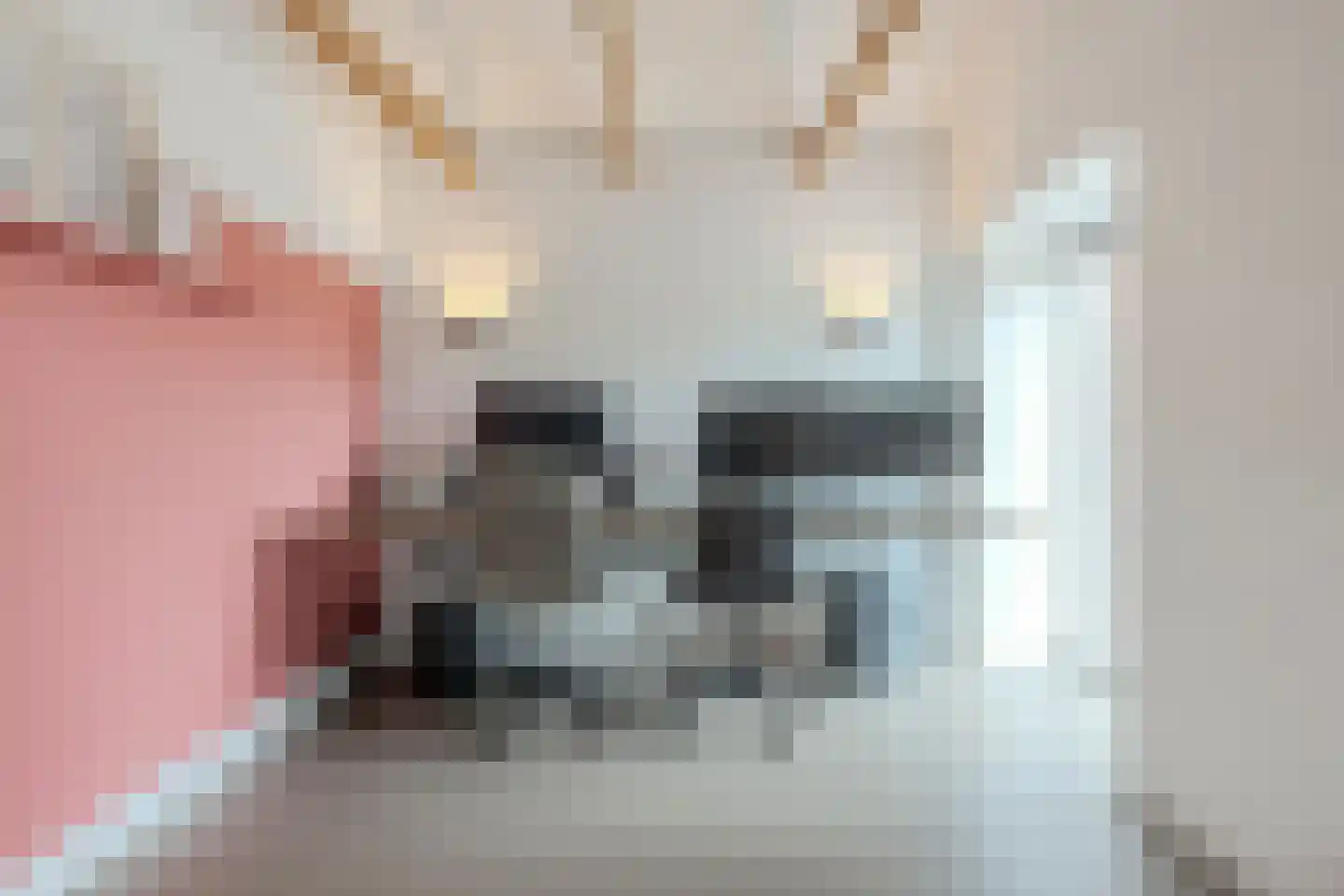Wechterholt 4 a Wijhe thumbnail 24