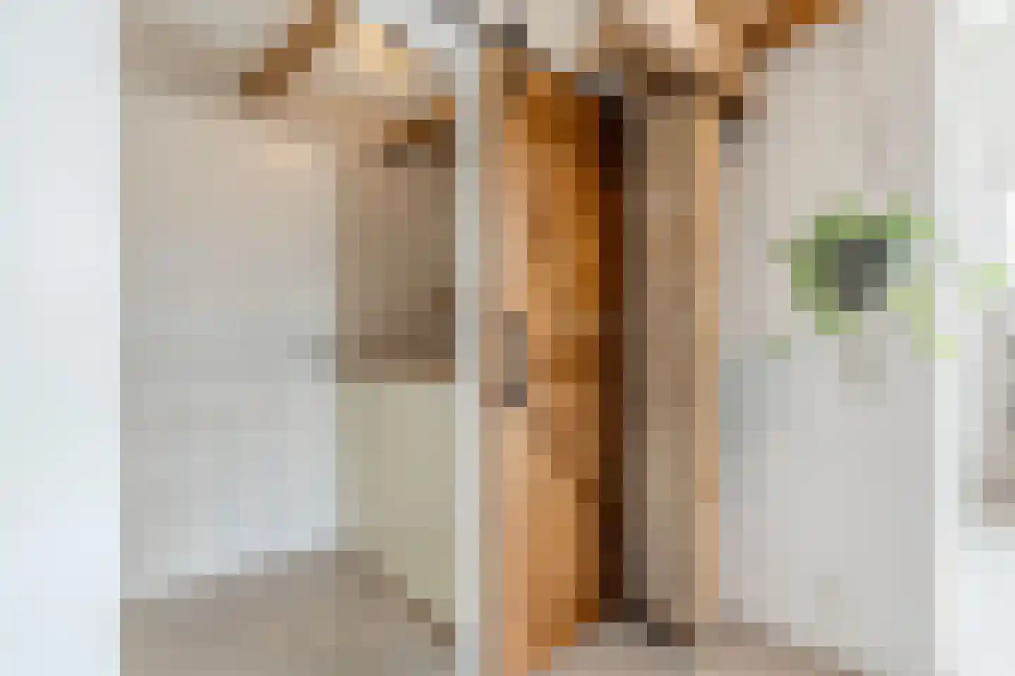 Wechterholt 4 a Wijhe thumbnail 26