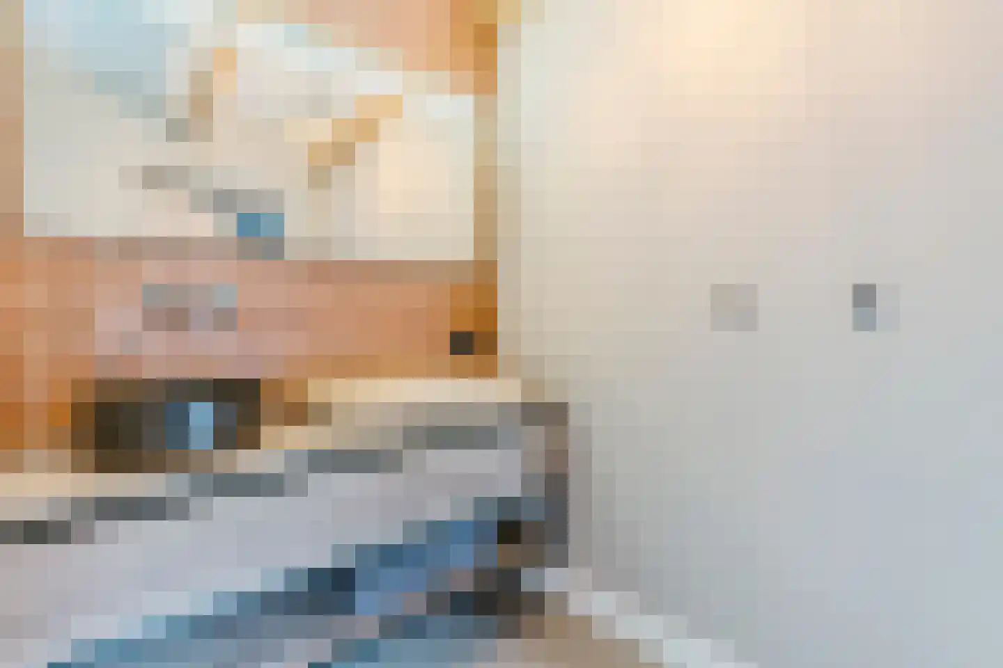 Wechterholt 4 a Wijhe thumbnail 29