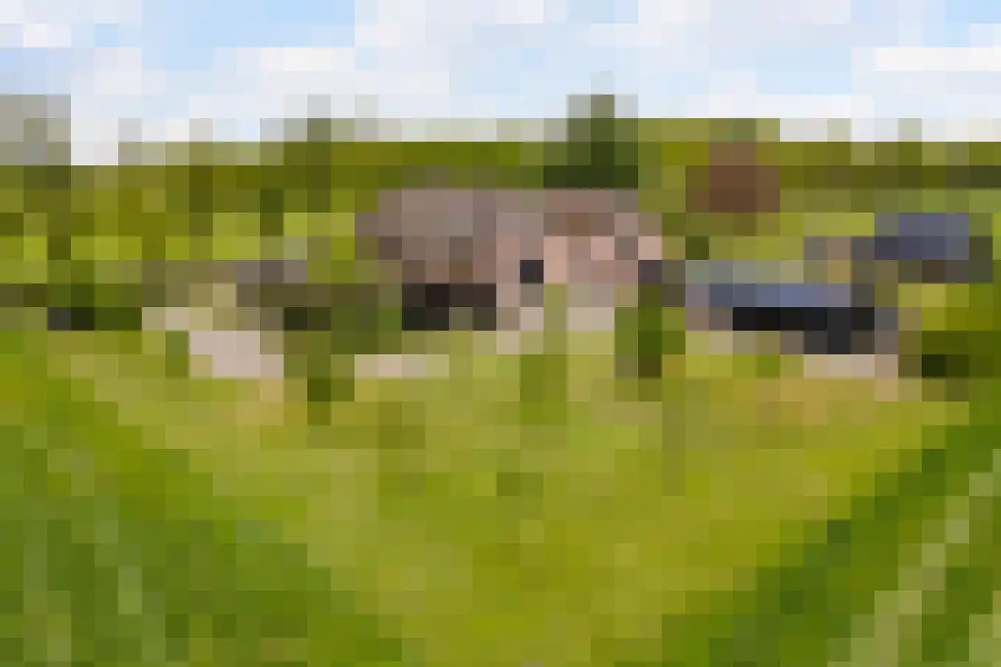 Wechterholt 4 a Wijhe foto 3