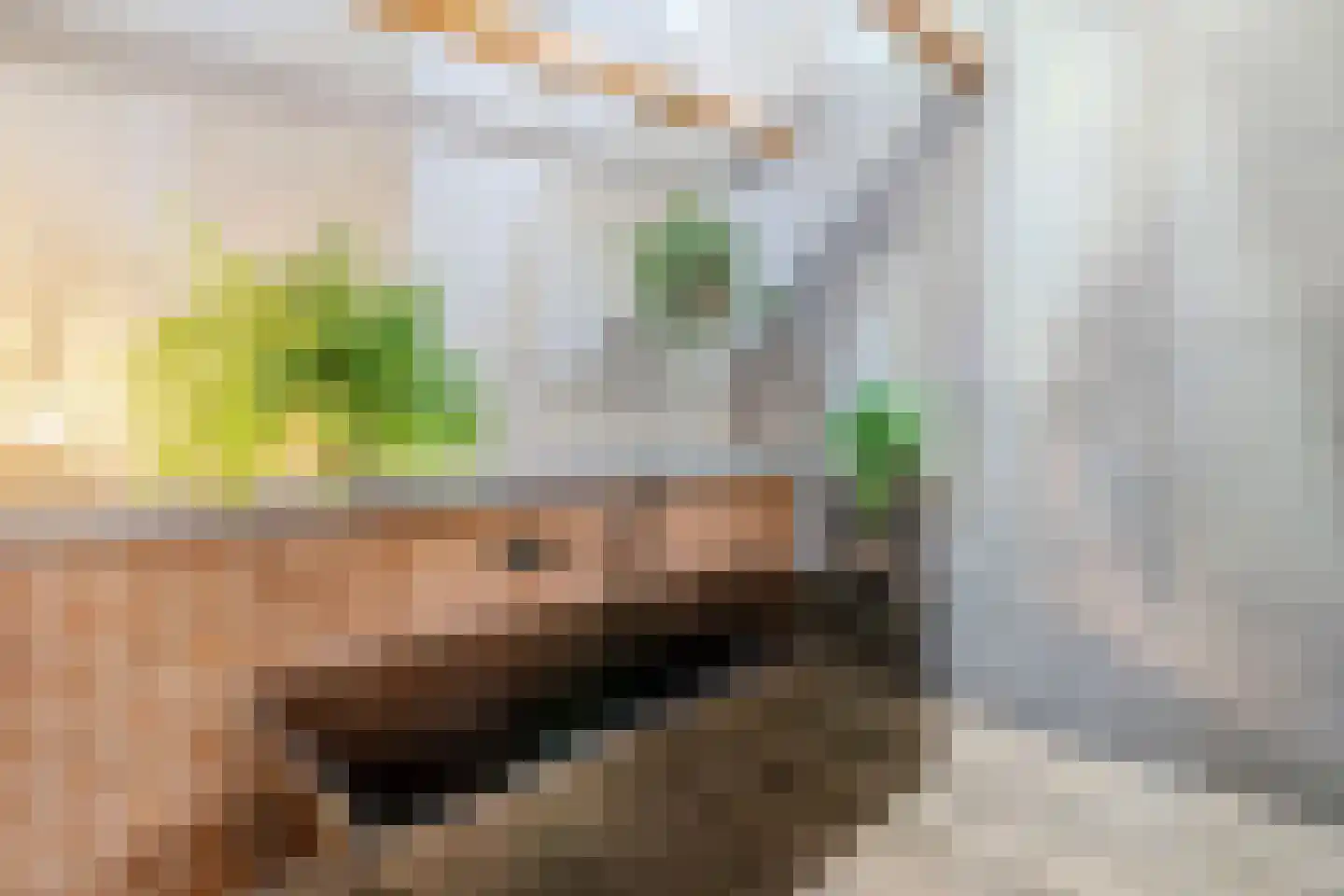 Wechterholt 4 a Wijhe thumbnail 32