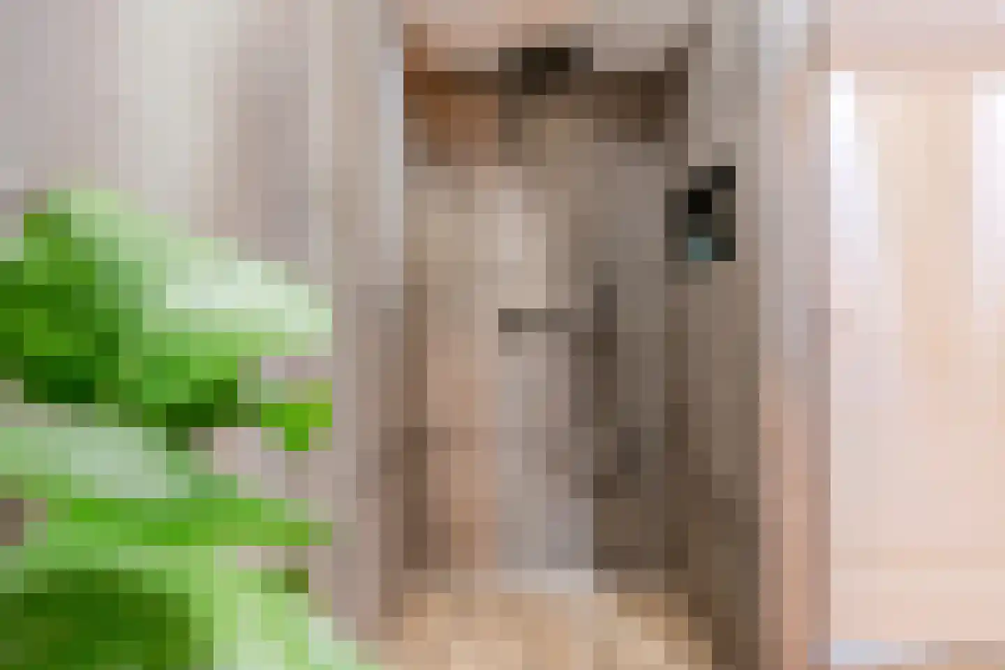 Wechterholt 4 a Wijhe thumbnail 33