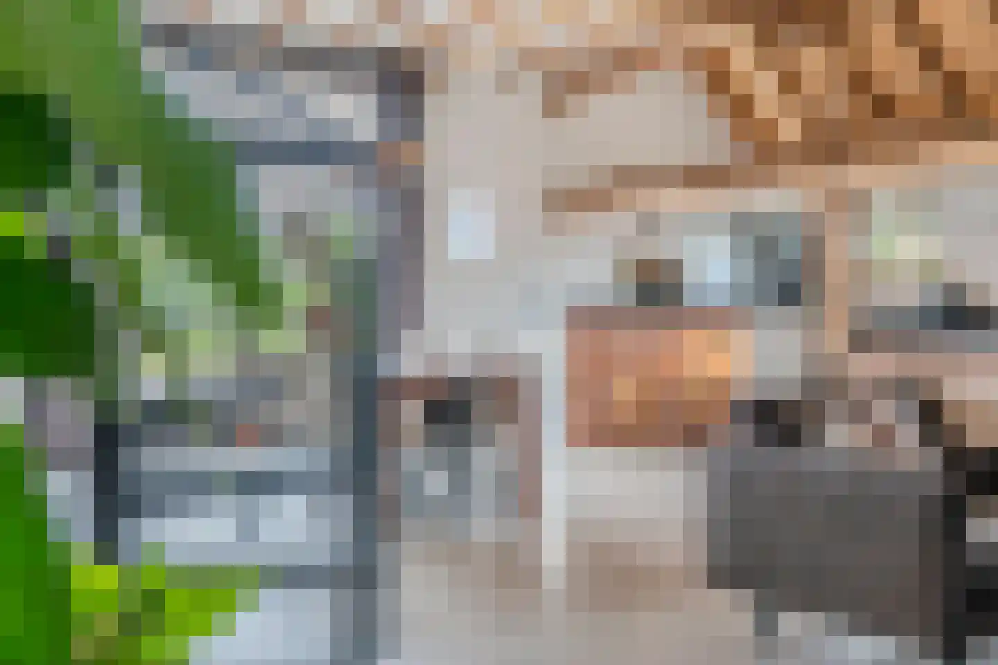 Wechterholt 4 a Wijhe thumbnail 34