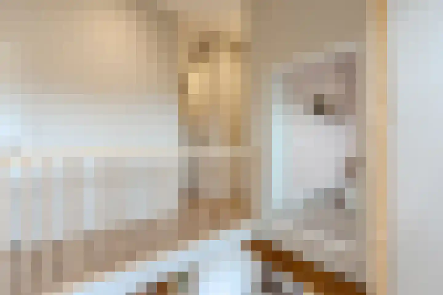 Wechterholt 4 a Wijhe thumbnail 36