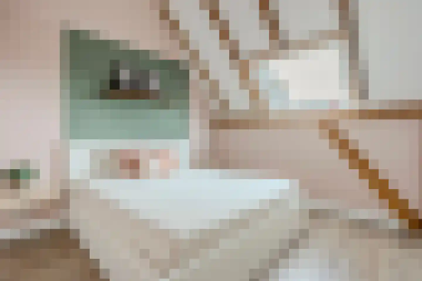 Wechterholt 4 a Wijhe thumbnail 38