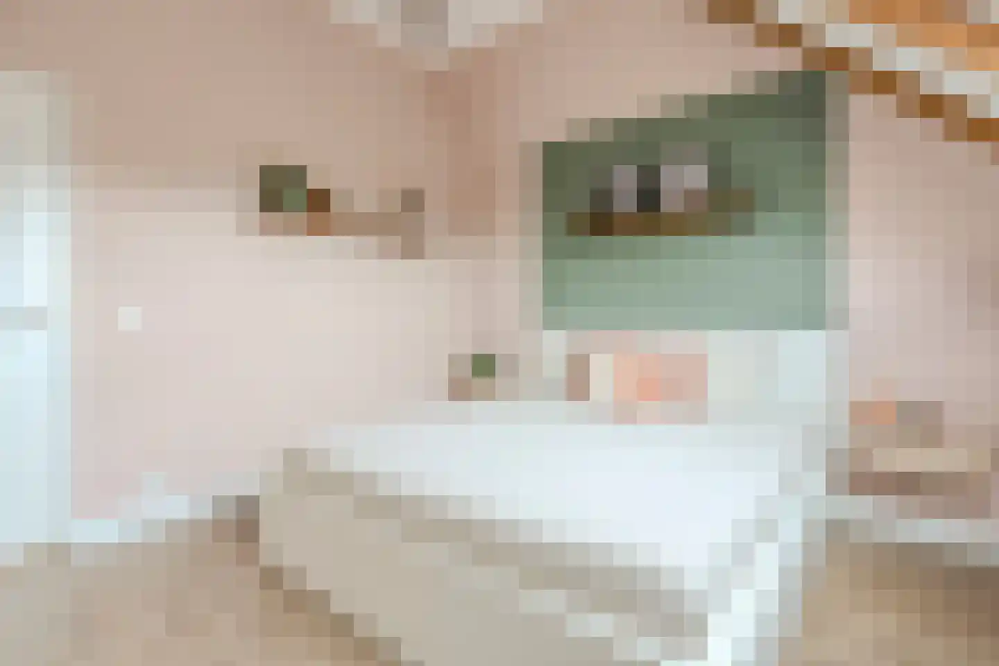 Wechterholt 4 a Wijhe thumbnail 39