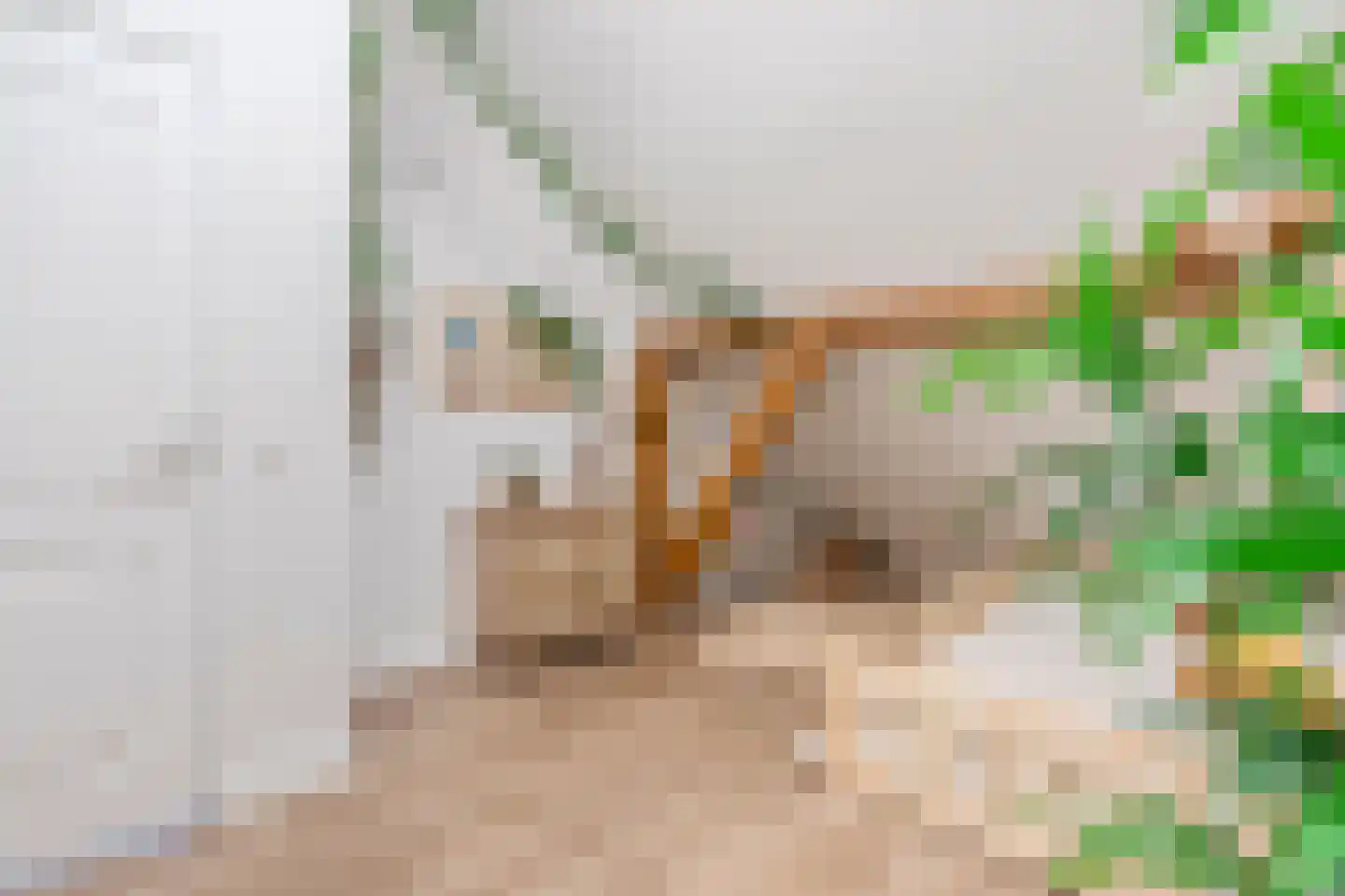Wechterholt 4 a Wijhe thumbnail 41