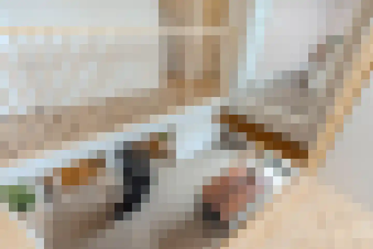 Wechterholt 4 a Wijhe thumbnail 44