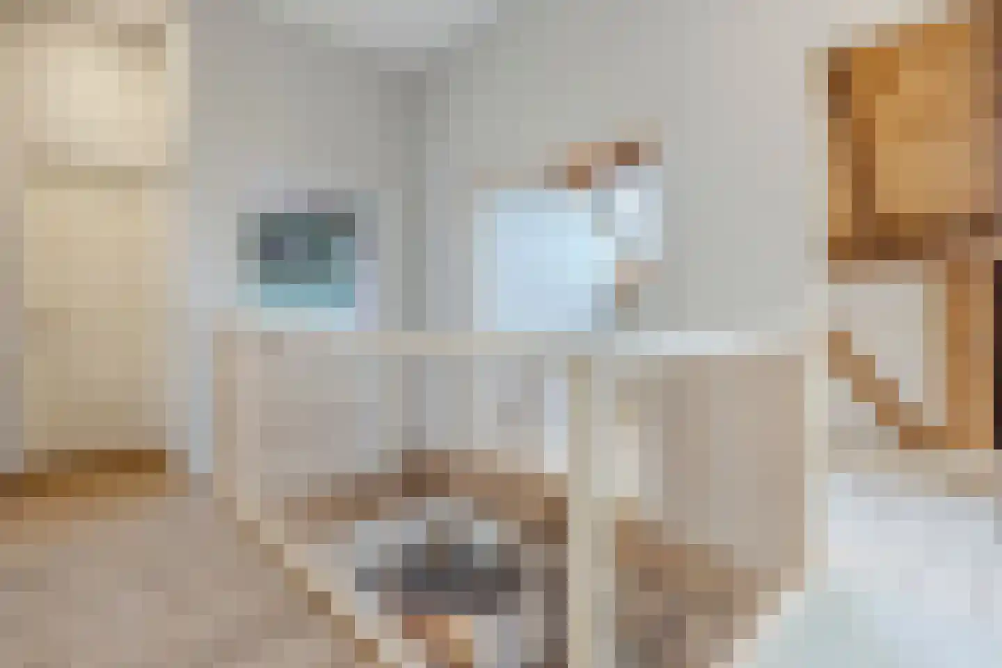 Wechterholt 4 a Wijhe thumbnail 45