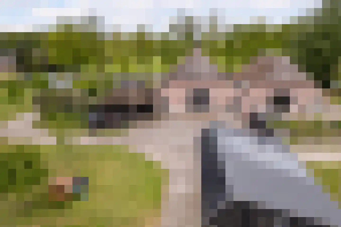 Wechterholt 4 a Wijhe thumbnail 49
