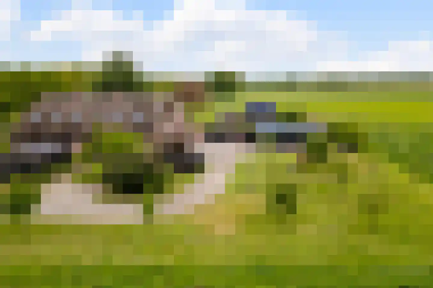 Wechterholt 4 a Wijhe thumbnail 50