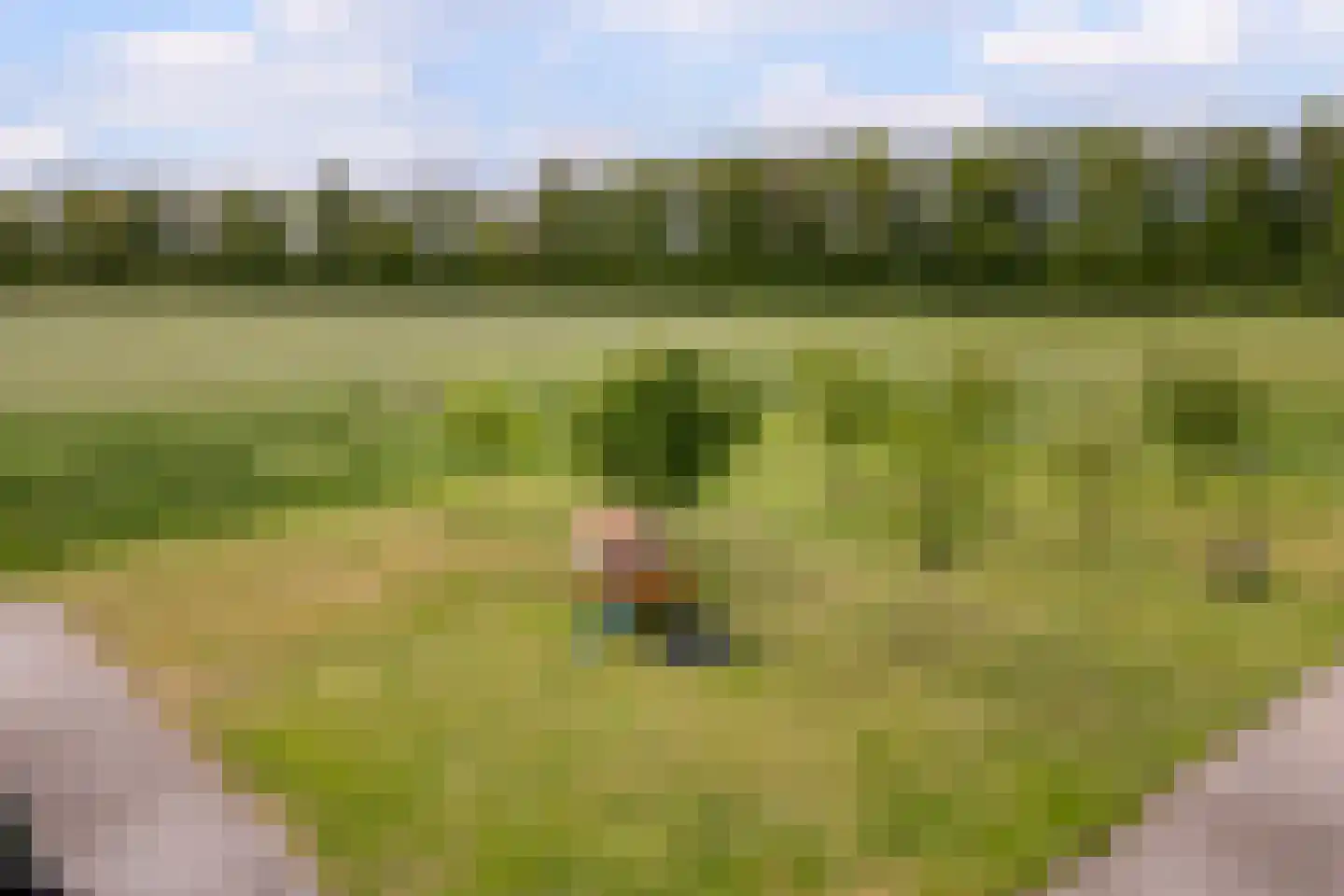 Wechterholt 4 a Wijhe thumbnail 51