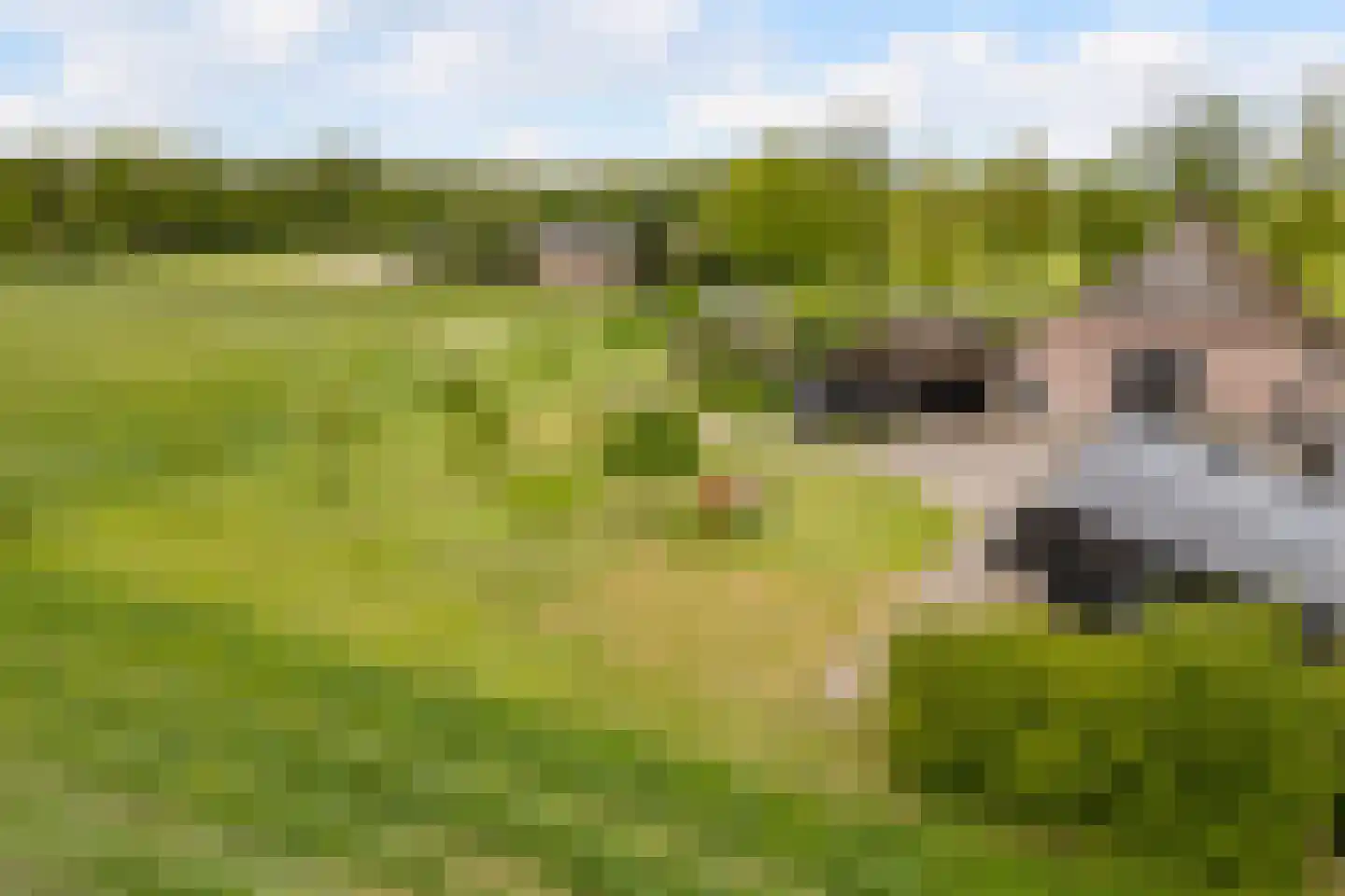 Wechterholt 4 a Wijhe thumbnail 52