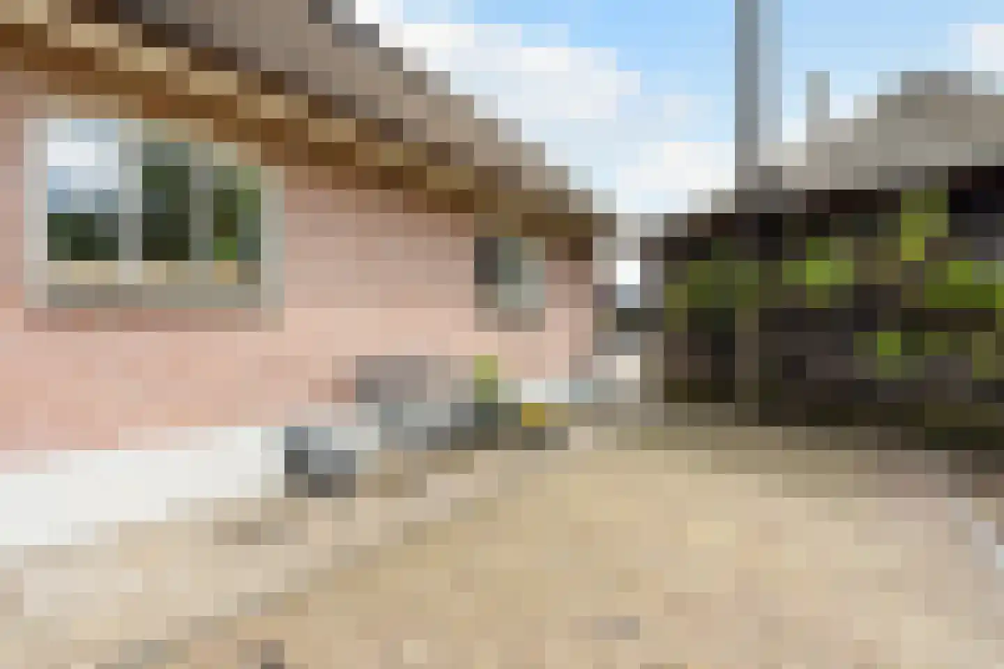 Wechterholt 4 a Wijhe thumbnail 54