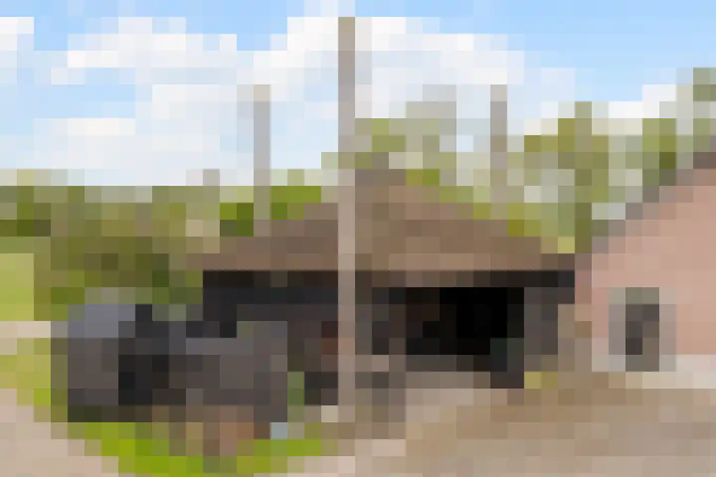 Wechterholt 4 a Wijhe thumbnail 55