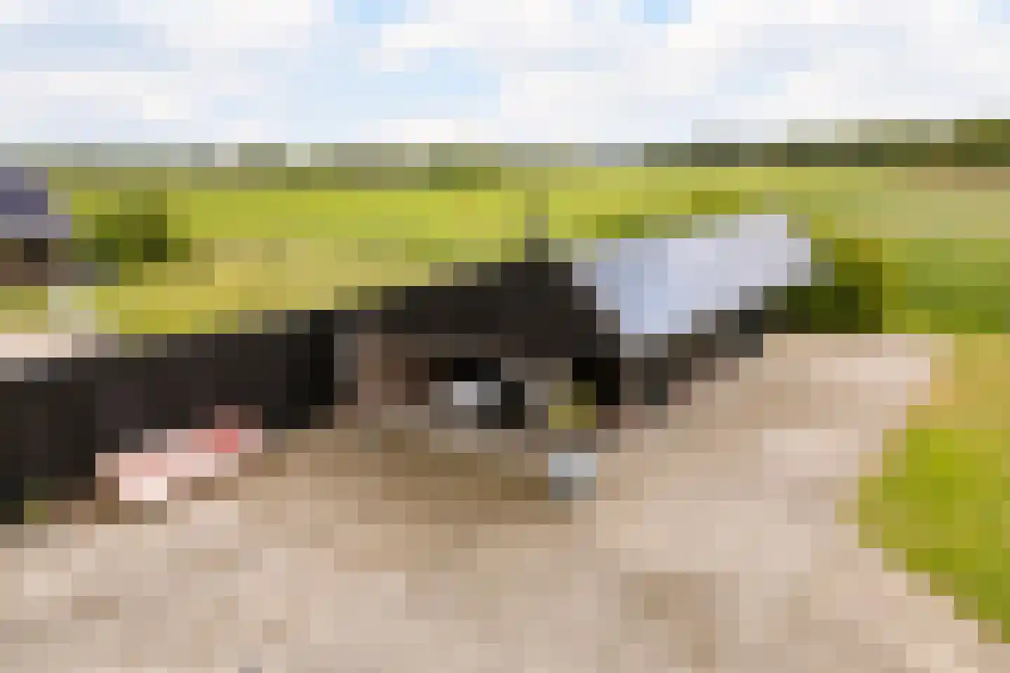 Wechterholt 4 a Wijhe thumbnail 58
