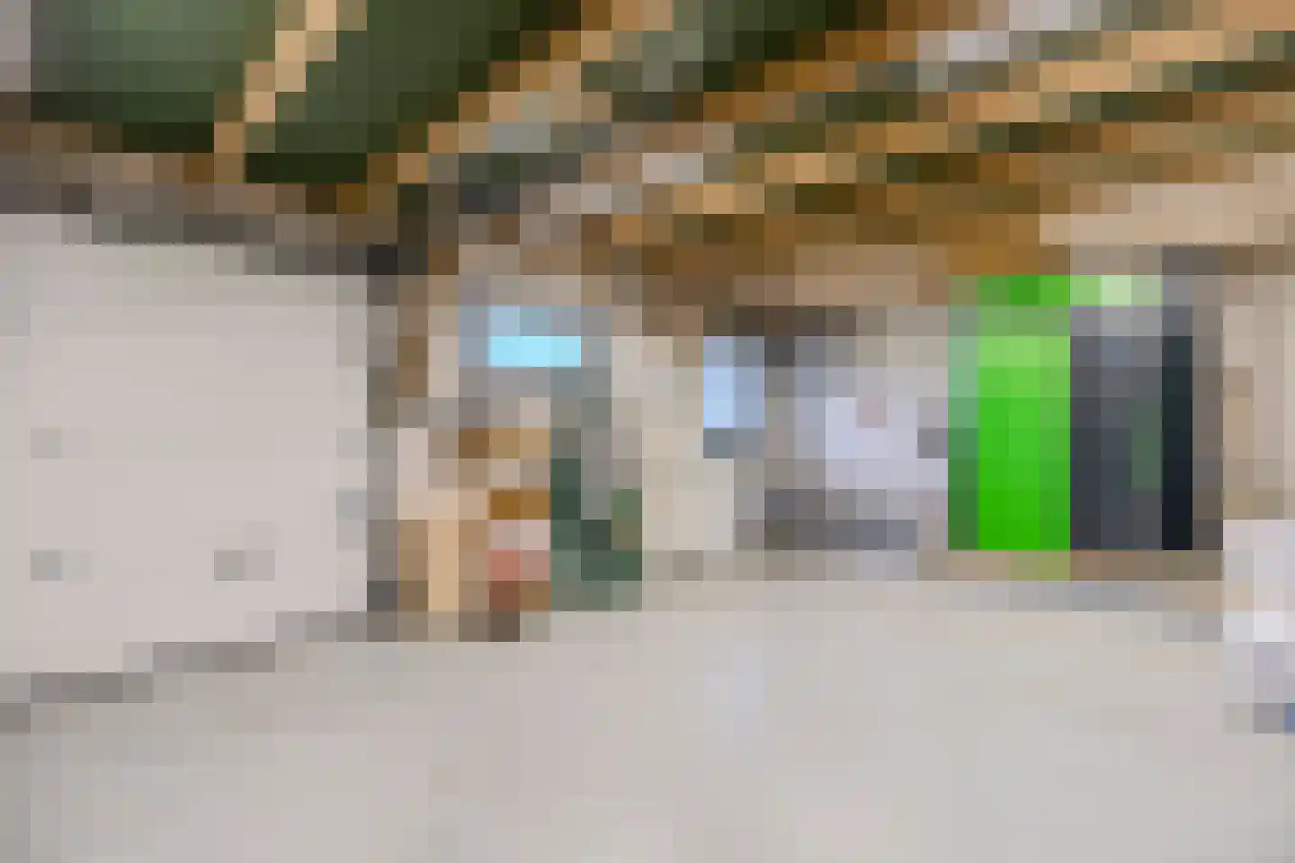 Wechterholt 4 a Wijhe thumbnail 59