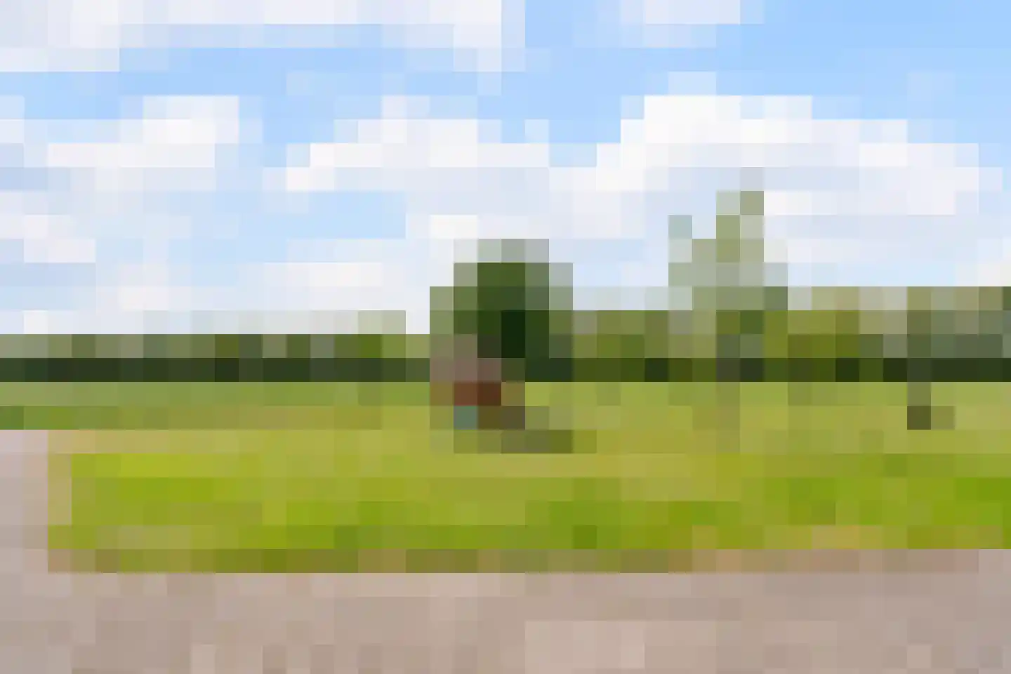 Wechterholt 4 a Wijhe thumbnail 65