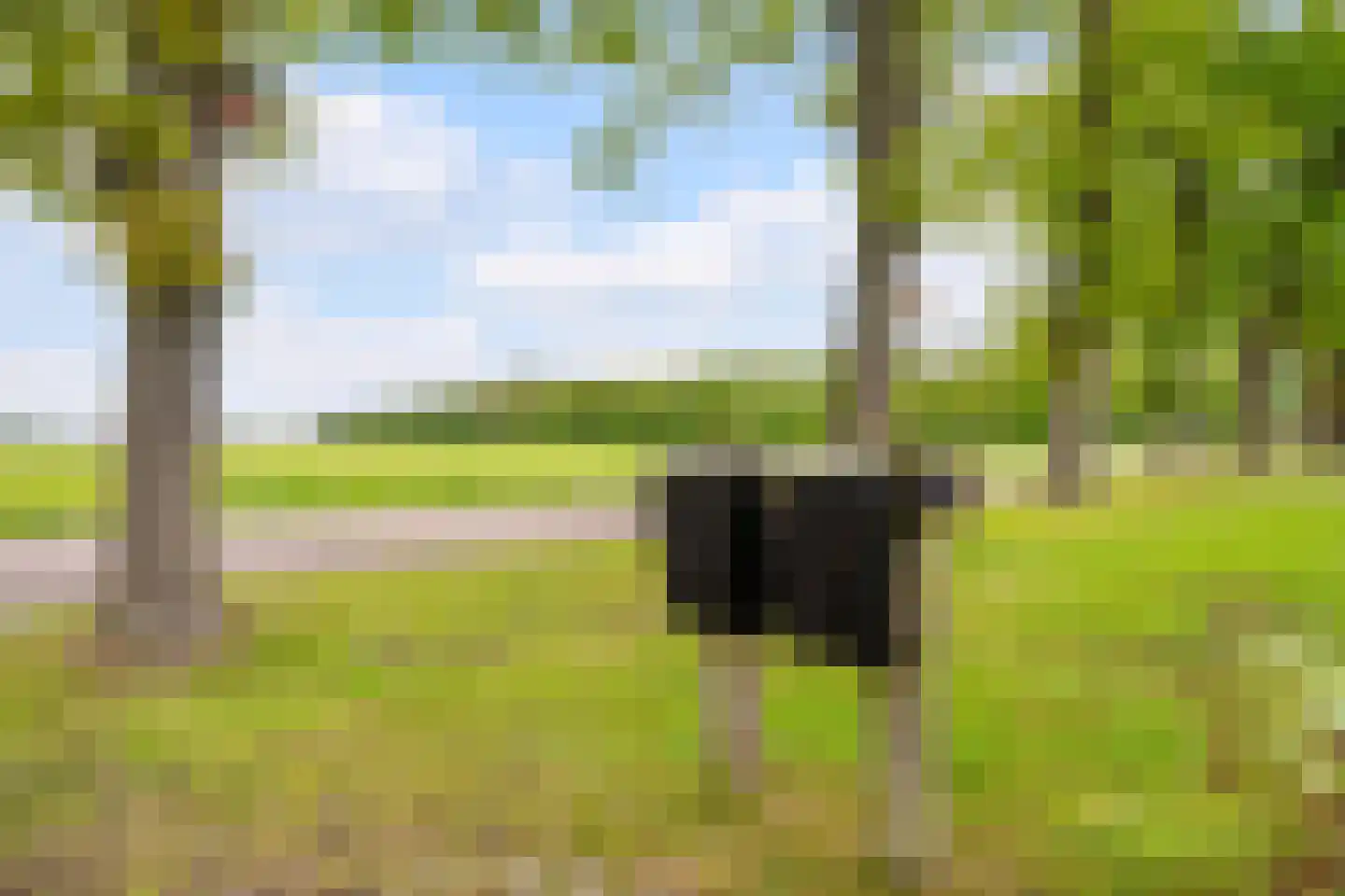 Wechterholt 4 a Wijhe thumbnail 68