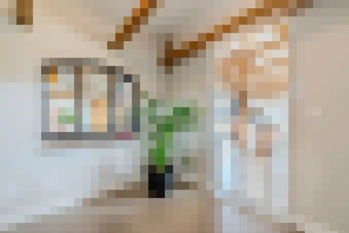 Wechterholt 4 a Wijhe thumbnail 8