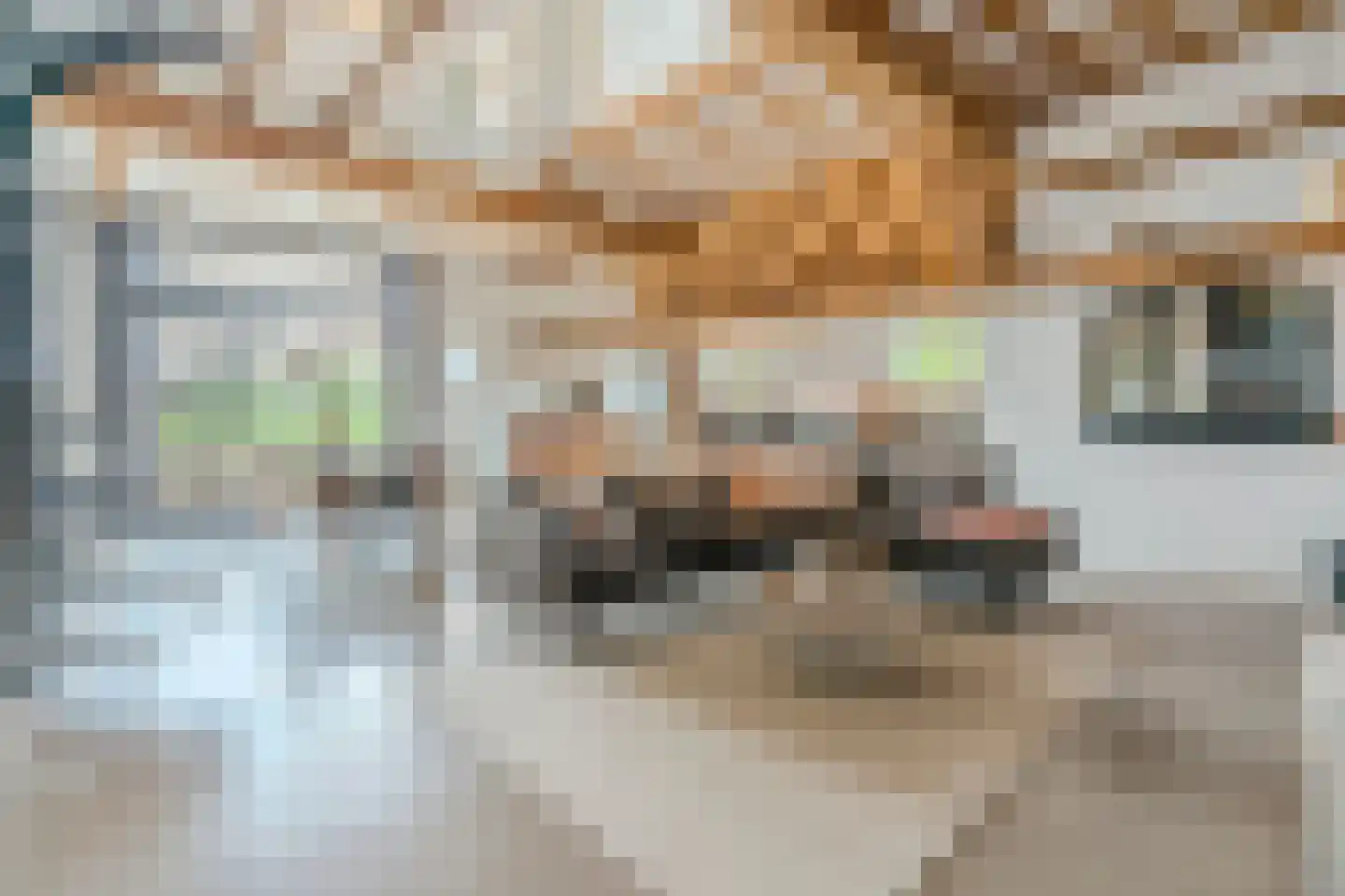 Wechterholt 4 a Wijhe thumbnail 9