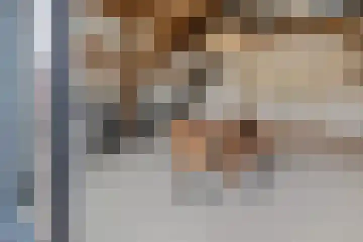 Wechterholt 4 b Wijhe thumbnail 10
