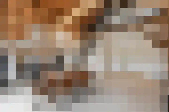 Wechterholt 4 b Wijhe thumbnail 11