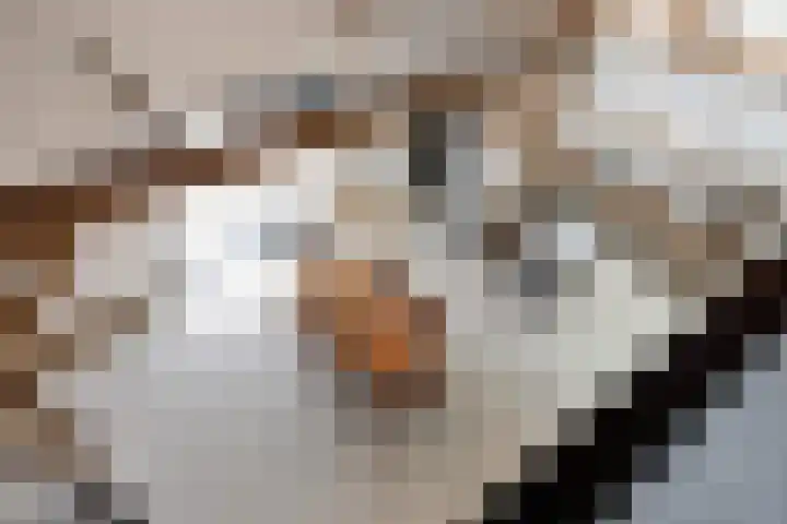 Wechterholt 4 b Wijhe thumbnail 12