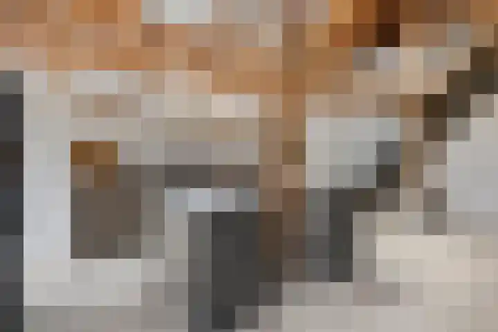 Wechterholt 4 b Wijhe thumbnail 13