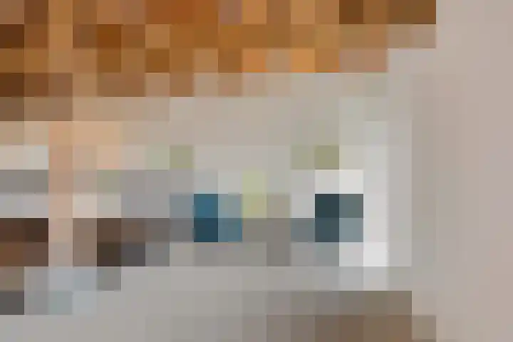 Wechterholt 4 b Wijhe thumbnail 17