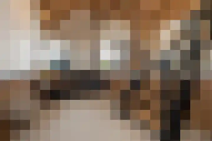 Wechterholt 4 b Wijhe thumbnail 20