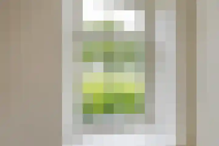 Wechterholt 4 b Wijhe thumbnail 22