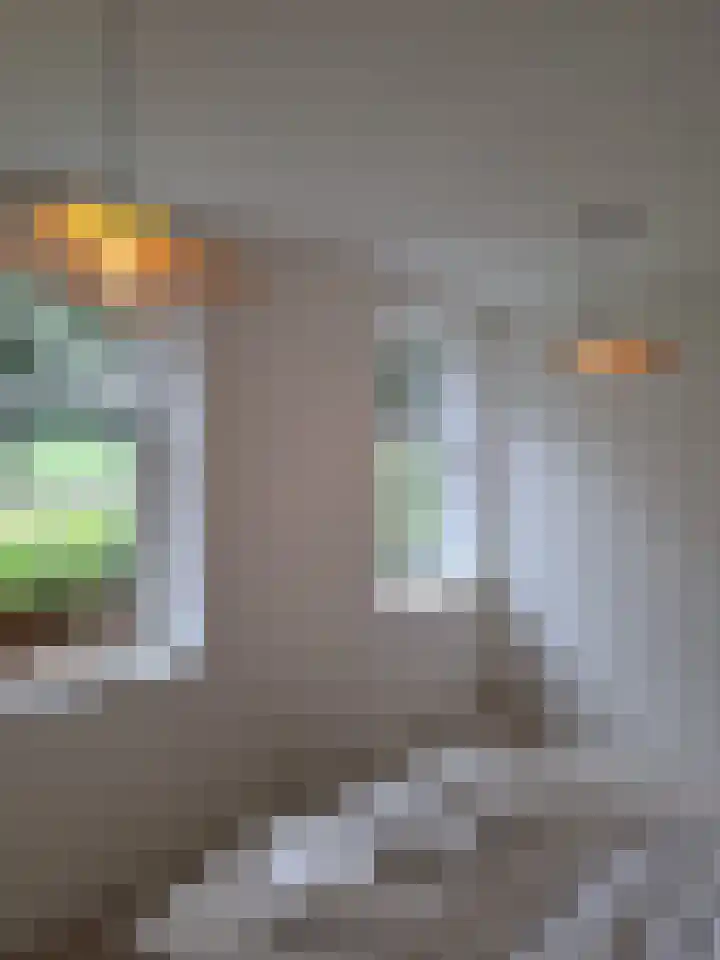 Wechterholt 4 b Wijhe thumbnail 23