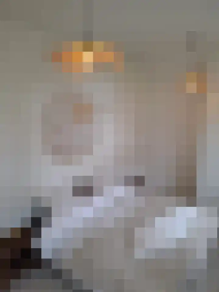 Wechterholt 4 b Wijhe thumbnail 24