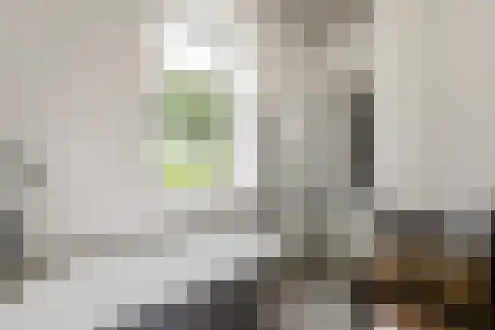 Wechterholt 4 b Wijhe thumbnail 25