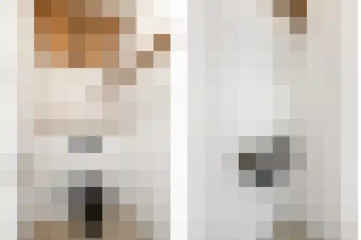 Wechterholt 4 b Wijhe thumbnail 27