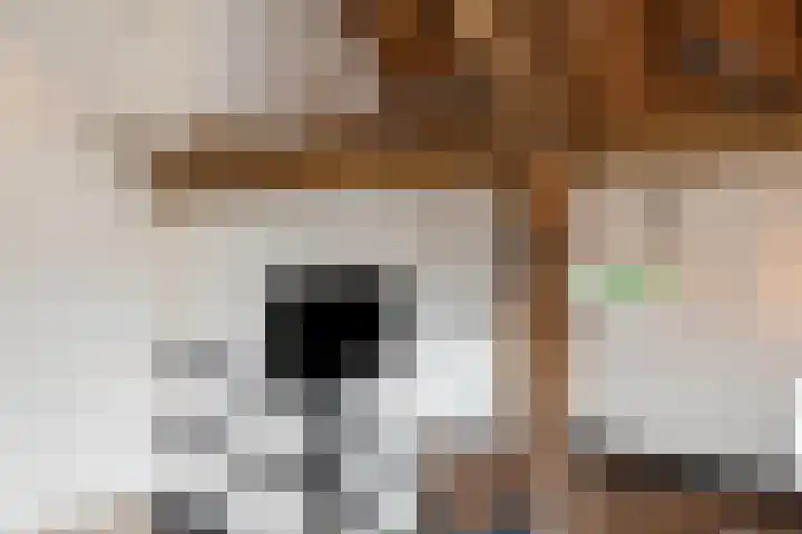 Wechterholt 4 b Wijhe thumbnail 28