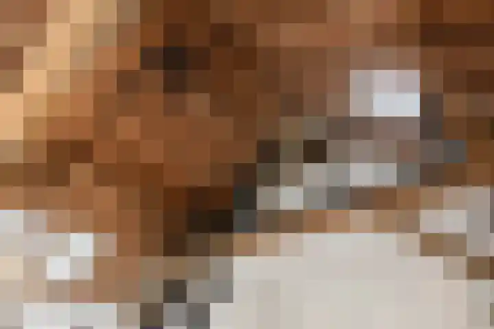 Wechterholt 4 b Wijhe thumbnail 30