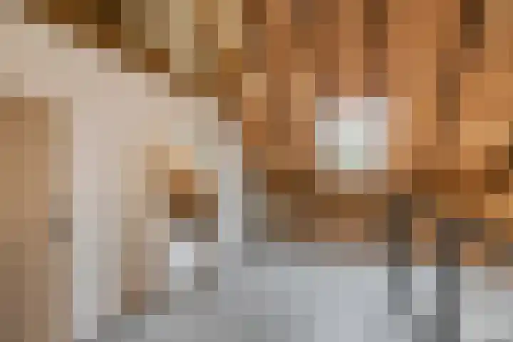 Wechterholt 4 b Wijhe thumbnail 32